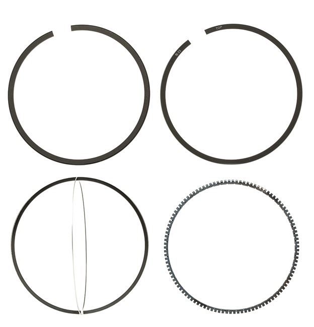 comprare Kit fasce elastiche - KOLBENSCHMIDT (800002511000)