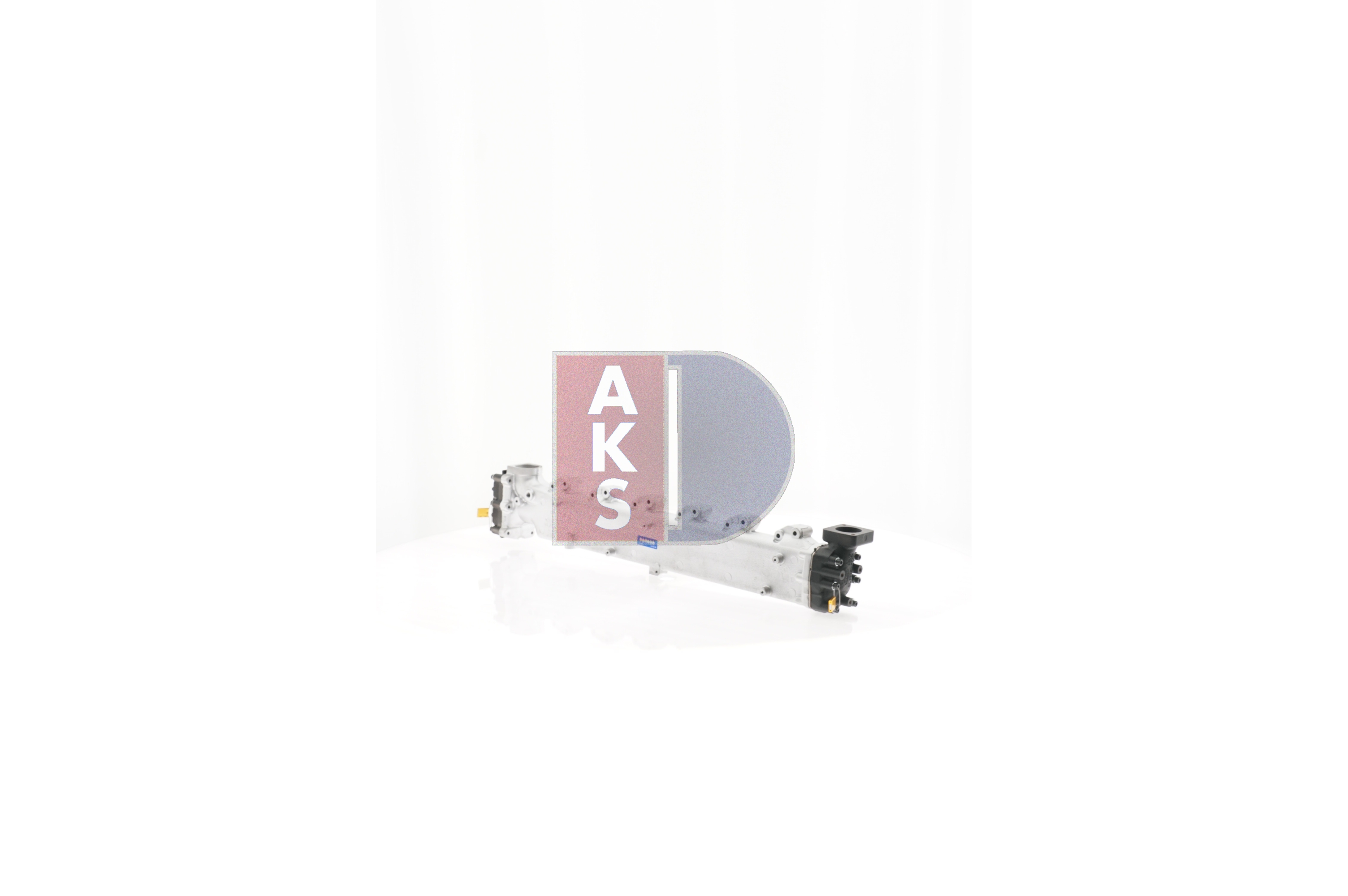 OEM 51081000131 AKS DASIS Modulo EGR 260029T per MAN