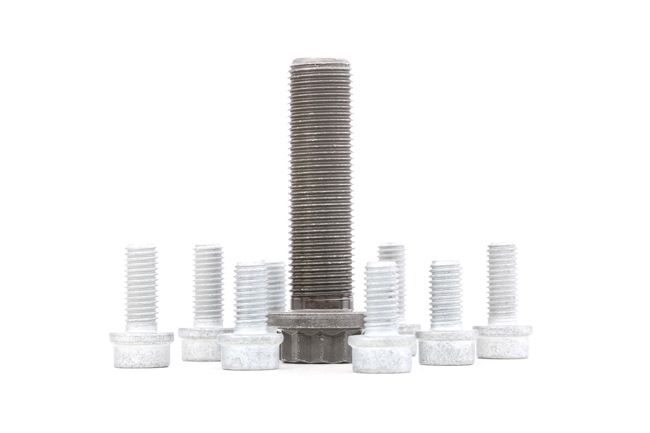 CORTECO Kit tornillos, cigüeñal polea (80004916) para VW Passat B6 Sedán (3C2) 2.0 TDI (125 KW / 170 CV / de 2005)