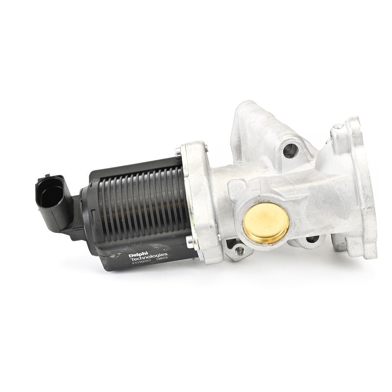 comprar Válvula EGR - DELPHI (EG10257-12B1)