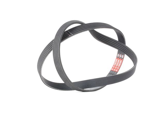 Correa trapecial poli V GATES 5PK1123 para OPEL VIVARO 2003