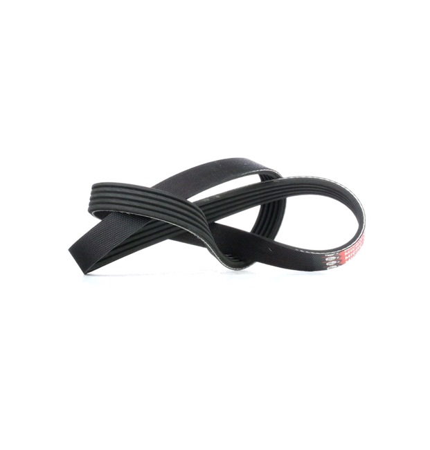 OEM 5717039000 GATES Courroie Poly-V 5PK908 pour RENAULT, BMW, OPEL, FIAT, TOYOTA