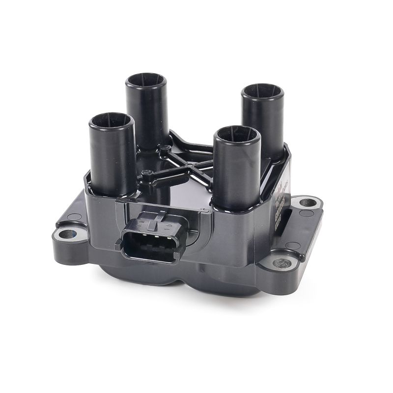 comprare Bobina d'accensione - DELPHI (GN10365-12B1)