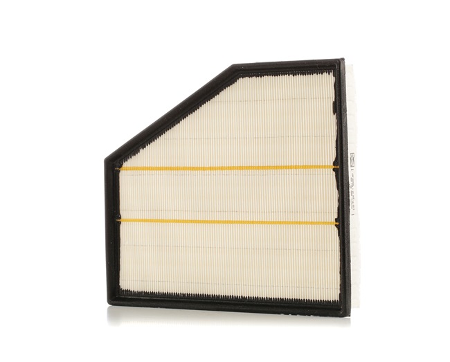 Luftfilter CAF100934P kostengünstig von CHAMPION