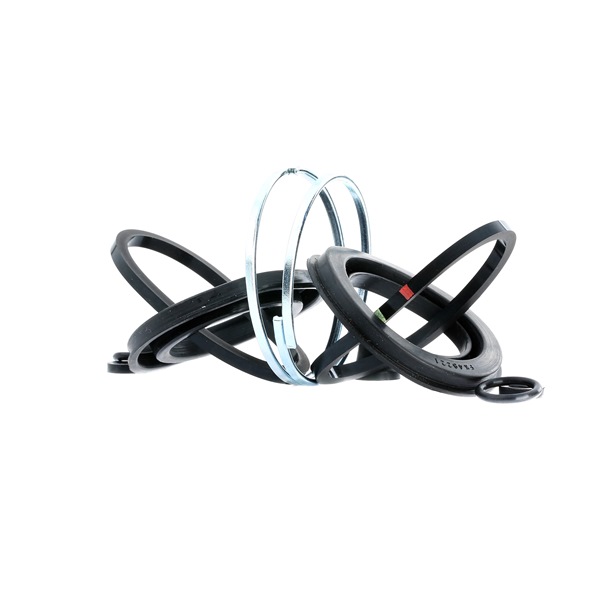 OEM 91135290500 FRENKIT Kit di revisione della pinza freno 242004 per AUDI, SEAT, SKODA, PORSCHE, ISUZU