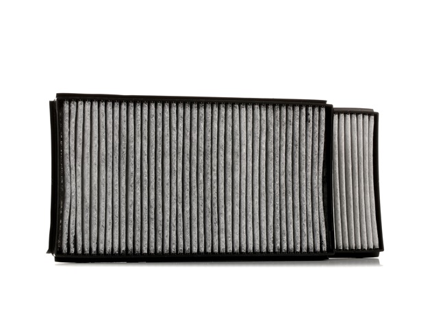 Pollen filter F505301 from KAMOKA