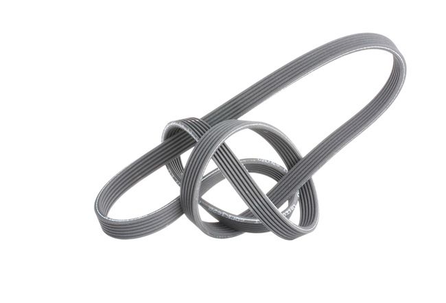 1-serie Multiriem 6DPK1698 GATES