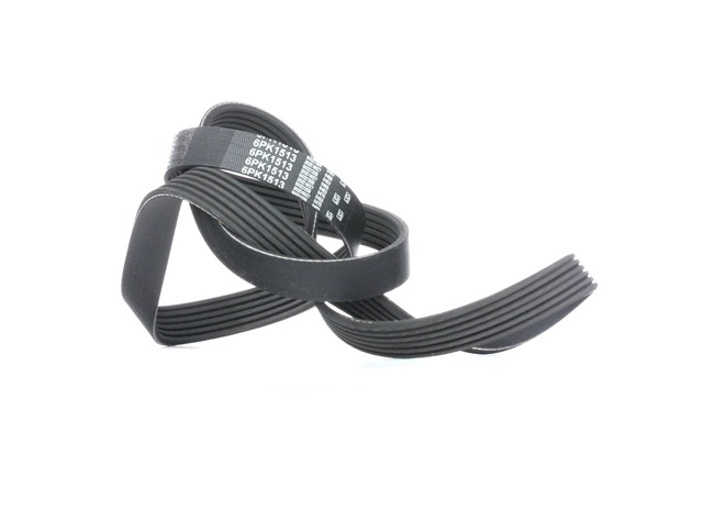 GATES Cinghia servizi 6PK1513