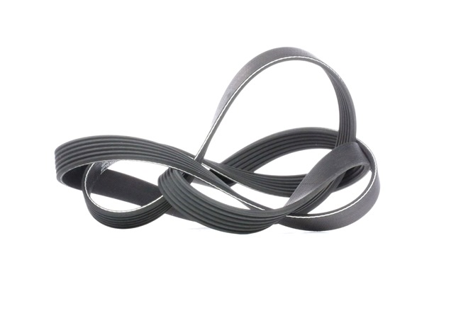 GATES 6PK1795 Correa trapecial poli V para OPEL VIVARO