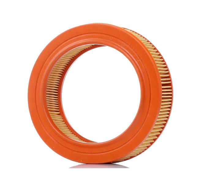 Luftfilter PURFLUX A194