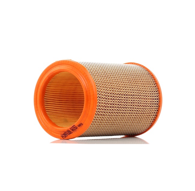 66 Luftfilter A197 PURFLUX