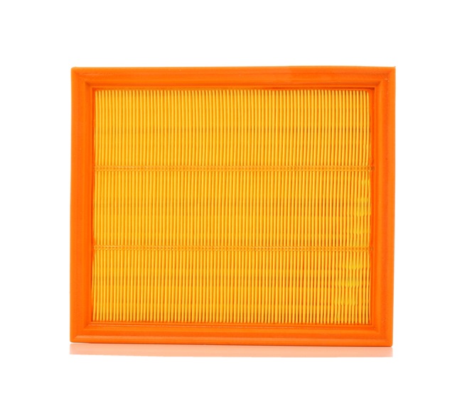 PURFLUX Luftfilter A211
