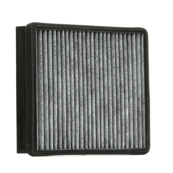 Pollen filter SKIF-0170230 from STARK