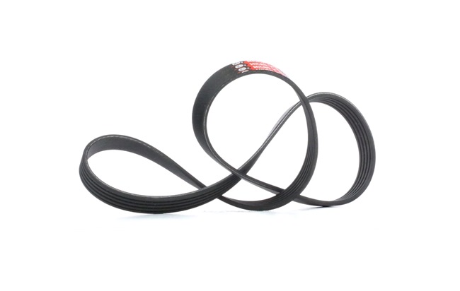 PACEMAN Cinghia servizi 5PK1103 GATES