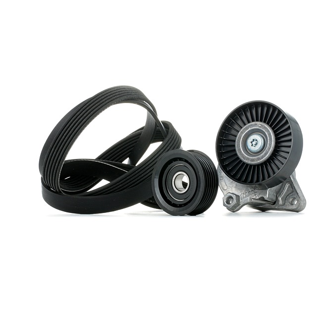 OEM A1122000170 INA  Keilrippenriemensatz 529 0035 10 für MERCEDES-BENZ, CHRYSLER