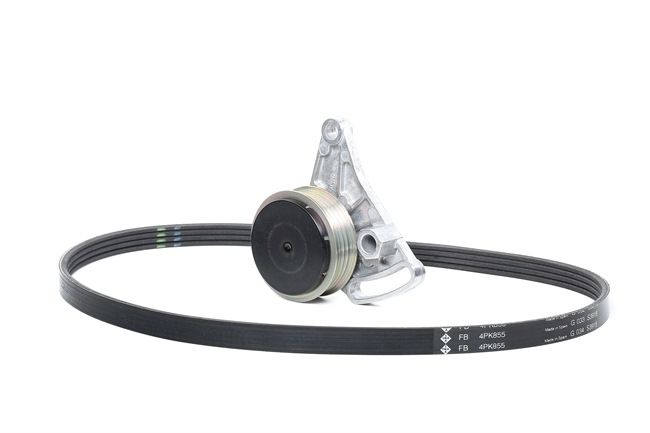 VW PASSAT 2002 V-Ribbed Belt Set 529 0099 10