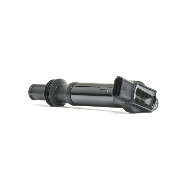 DELPHI GN10584-12B1 C4 Zündspule