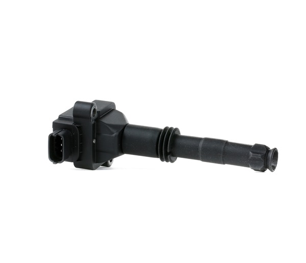 comprare Bobina d'accensione - DELPHI (GN10504-12B1)