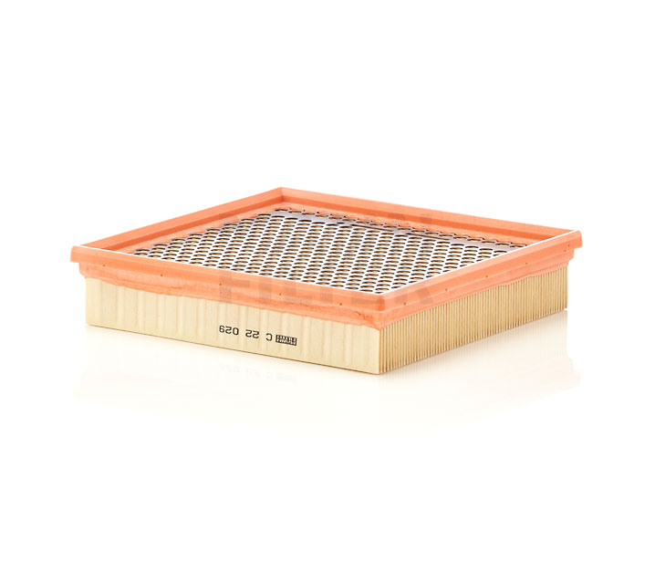 MANN-FILTER Luftfilter C 22 029