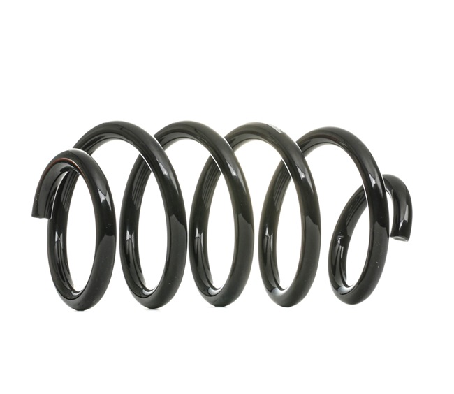 SACHS Molle 994 582