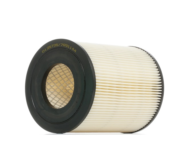 OEM A1660940004 STARK Luftfilter SKAF-0060094 for MERCEDES-BENZ, MAYBACH