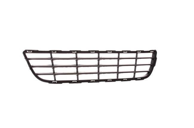 BLIC Grille 6502-07-6815910P