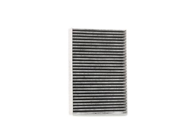 OEM B729800QAA STARK Kupefilter SKIF-0170275 for NISSAN, RENAULT, DACIA, RENAULT TRUCKS
