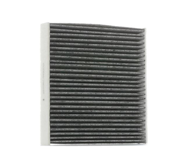Pollen filter SKIF-0170300 from STARK