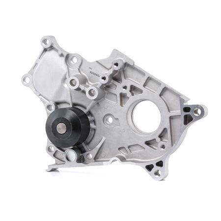 OEM PA963 STARK Vannpumpe SKWP-0520075 for