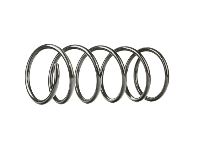OEM 96FB5310FB STARK Fjær SKCS-0040179 for FORD, MAZDA, LAND ROVER, FORD USA