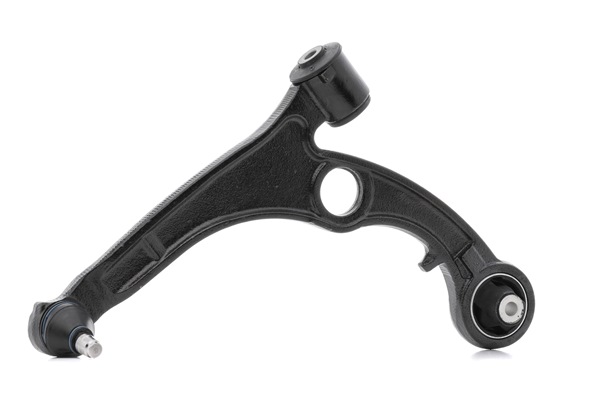RIDEX Braccetti 273C0118