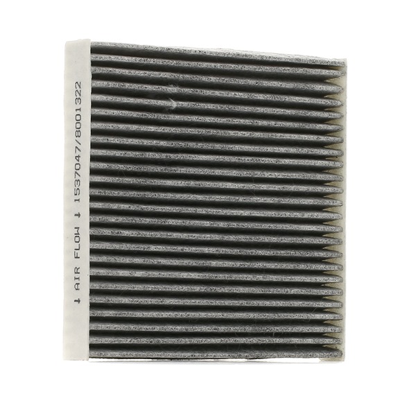 XEDOS Pollenfilter 424I0249 RIDEX