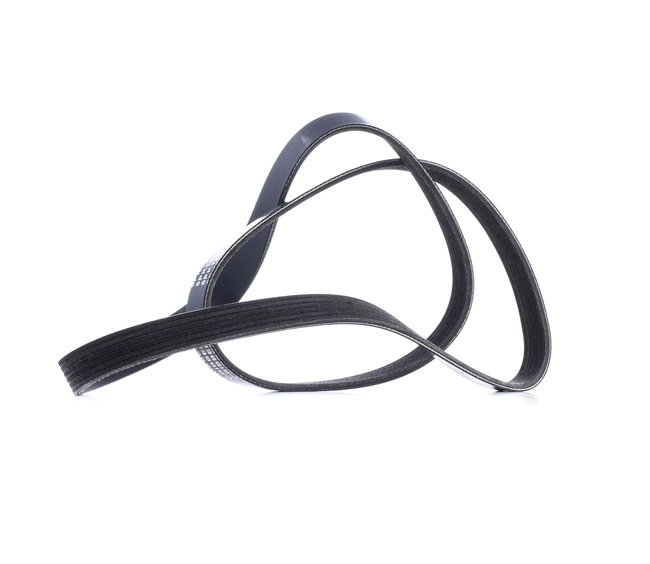 OEM 55568858 STARK  Keilrippenriemen SKPB-0090018 für OPEL, FIAT, ALFA ROMEO, LAND ROVER, CHEVROLET