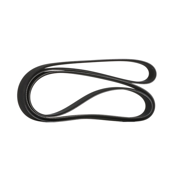 OEM 60813206 STARK Correa trapecial poli V SKPB-0090041 para FIAT, KIA, ALFA ROMEO, CHRYSLER, LANCIA