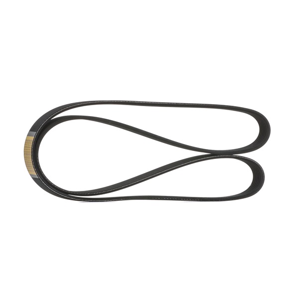 OEM 55567573 STARK Correa trapecial poli V SKPB-0090070 para RENAULT, OPEL, TOYOTA, FIAT, HYUNDAI