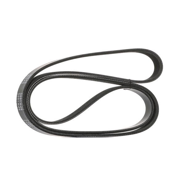 OEM 5080313AB STARK Correa trapecial poli V SKPB-0090139 para JEEP, CHRYSLER, DODGE