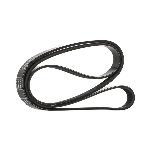 OEM 054903137F STARK Correa trapecial poli V SKPB-0090141 para VOLKSWAGEN, SEAT, AUDI, NISSAN, TOYOTA