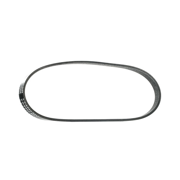 STARK Courroie Poly-V (SKPB-0090155) pour FORD C-Max (DM2) 2.0 CNG (107 KW / 145 CH / de 2009)