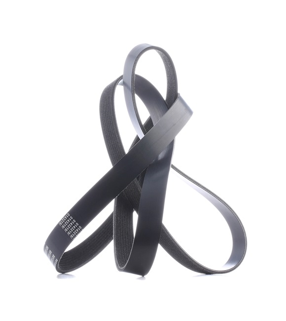STARK Correa de alternador SKPB-0090173