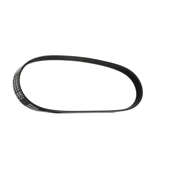 STARK Courroie Poly-V (SKPB-0090171) pour RENAULT Trafic I Van (TX, TXX, T, P, V) 1.7 (51 KW / 69 CH / de 1989)