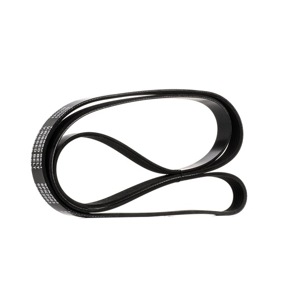 OEM 4627897AB STARK Cinghia servizi SKPB-0090187 per VOLKSWAGEN, BMW, MERCEDES-BENZ, OPEL, CHEVROLET