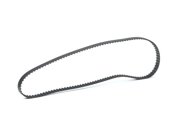OEM 037109119C STARK Registerrem SKTIB-0780106 for VW, AUDI, FORD, SKODA, SEAT