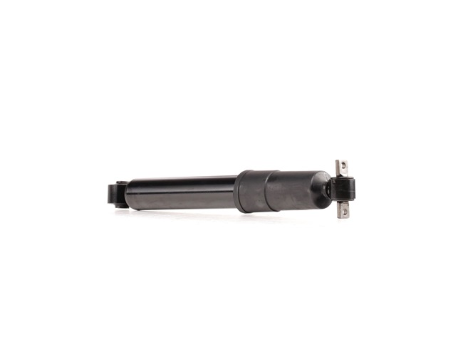 OEM C2S19767 RIDEX Ammortizzatore 854S1193 per JAGUAR