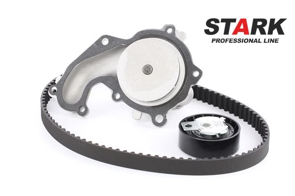OEM 1113180 STARK Water pump and timing belt kit SKWPT-0750049 for FORD