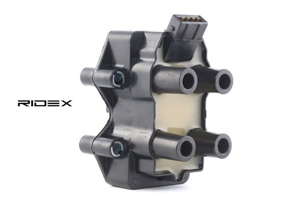 RIDEX Bobina 689C0065