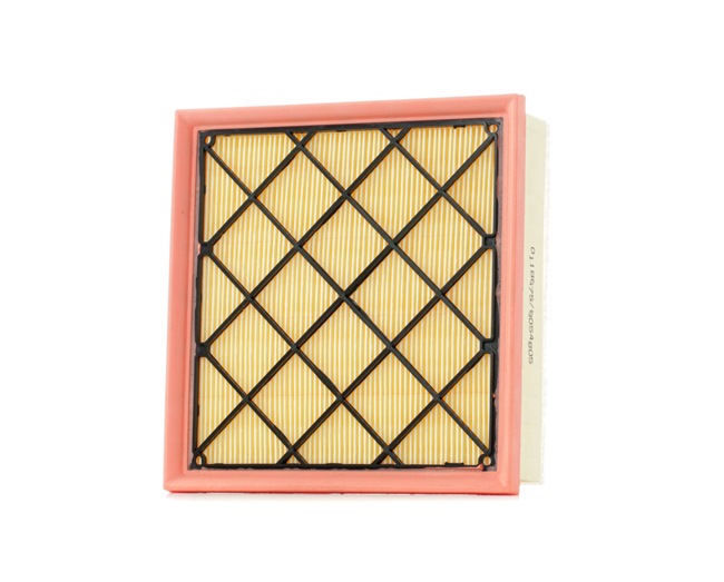 STARK Air filter SKAF-0060517