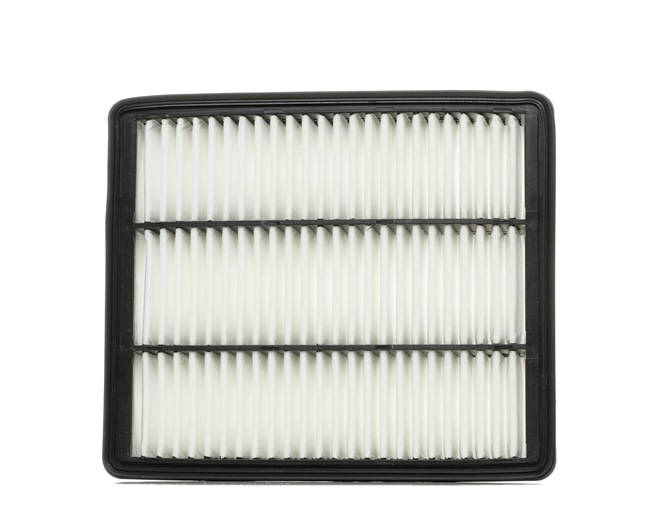 TERRACAN Luftfilter RIDEX 8A0165