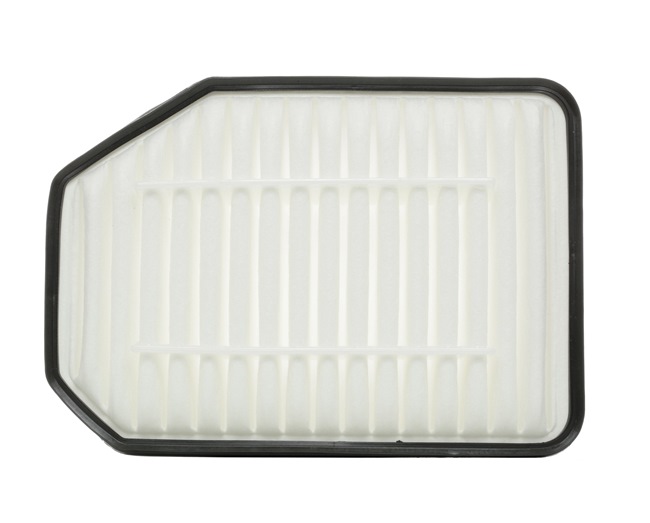 RIDEX 8A0455 GLADIATOR Luftfilter