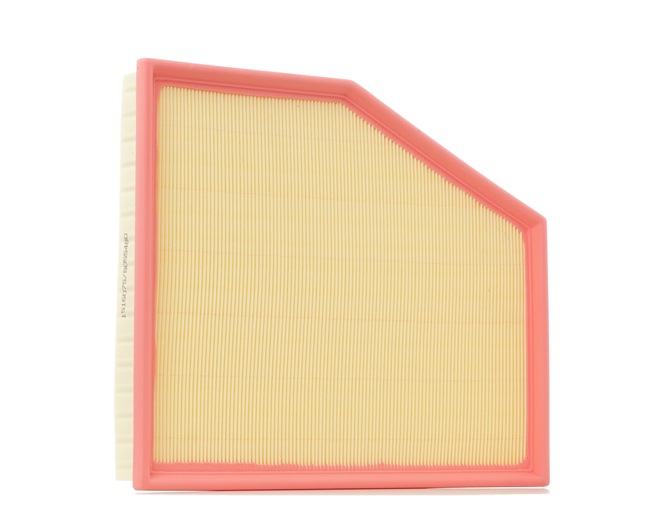 bestellen Luftfilter - RIDEX (8A0450)