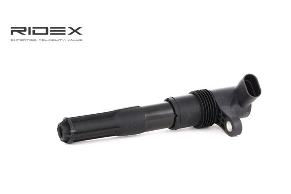 RIDEX Bobine d'allumage (689C0095) pour FIAT Stilo Multi Wagon (192) 2.4 20V (19245ZO) (123 KW / 167 CH / de 2004)